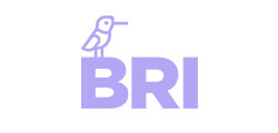 logo BRI
